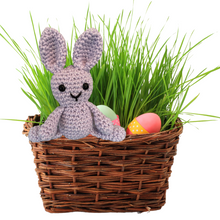 Load image into Gallery viewer, Lavender Crochet Bunny in a Basket
